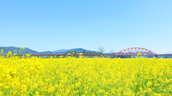 [남도둘러보기]4월엔 전남 광양서 낭만여행 즐겨요