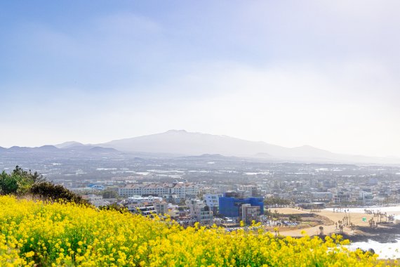 함덕해변과 오름까지 한눈에 볼 수 있는 서우봉 전망대