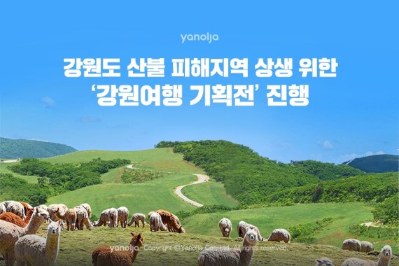 야놀자는 강원도 산불 피해지역과 상생을 위한 ‘강원여행 기획전’을 진행한다. 야놀자 제공