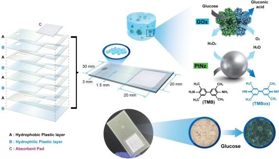 당 분석 디바이스 구성 및 분석원리_적층 구조의 플라스틱 디바이스와 백금-고분자 복합소재를 활용한 당 검출 효소기질 촉매반응(KBSI 제공)© 뉴스1