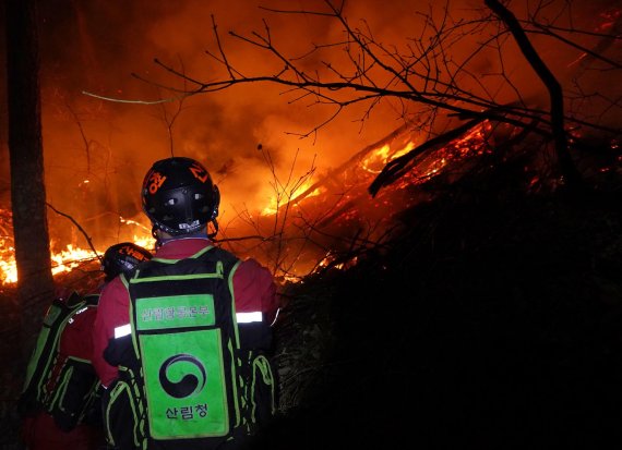 [서울=뉴시스] 산림청 산림항공본부 소속 공중진화대원들이 지난 7일 경북 울진군 북면 안말래길에서 금강소나무숲을 지키기 위해 밤샘 산불 진화 작업을 벌이고 있다. (사진=산림청 제공) 2022.03.08. photo@newsis.com *재판매 및 DB 금지