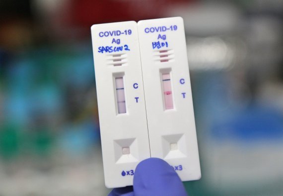 한국화학연구원 신종바이러스(CEVI) 융합연구단이 개발한 코로나19 신속진단 키트가 정상 항원에서는 보라색, 변종 항원에서는 분홍색으로 표시된다. 화학연구원 제공