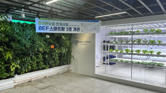 BEF 스마트팜 3호점 내부 모습./제공=부산항만공사