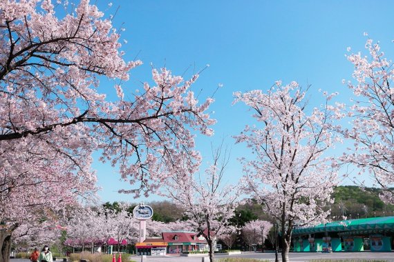 대공원역-서울랜드 정문 /사진=서울랜드
