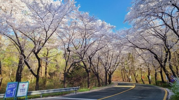 미술관길 /사진=서울랜드