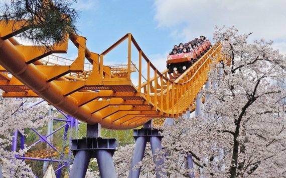 어트랙션 벚꽃 /사진=서울랜드