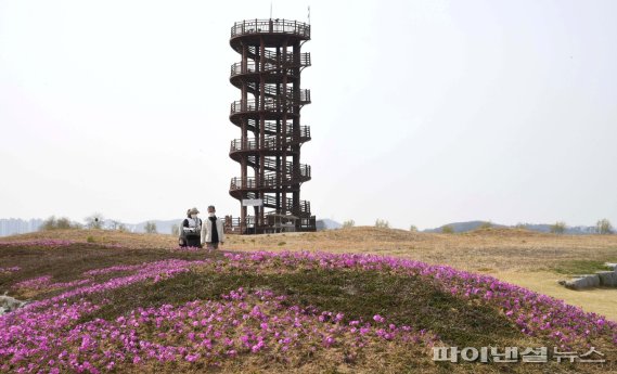 지금 시흥 갯골생태공원 봄꽃 만나러 간다