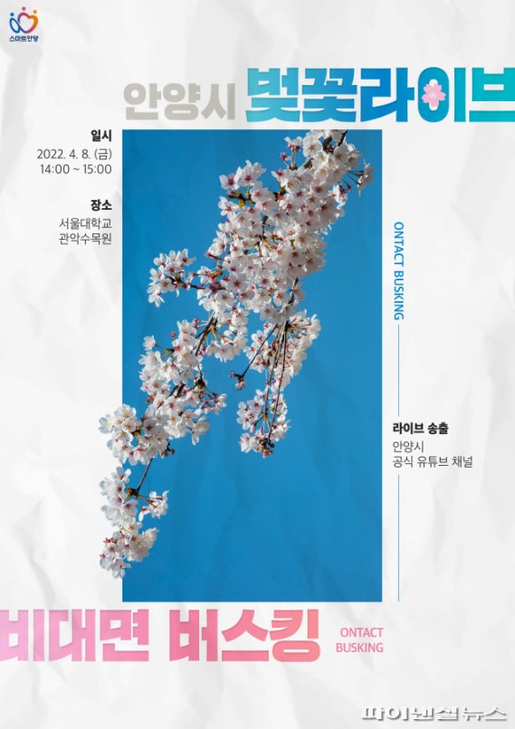 안양시 ‘벚꽃 라이브’ 8일 유튜브 생중계