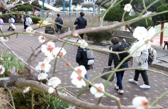 [제주=뉴시스] 우장호 기자 = 제주시 한 초등학교에서 학생들이 등교를 하고 있다. (사진=뉴시스DB) woo1223@newsis.com