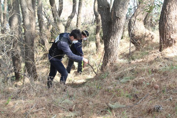 양귀비와 대마 재배가 의심되는 지역을 수색하고 있는 해양경찰관들. (사진=속초해양경찰서 제공) photo@newsis.com *재판매 및 DB 금지