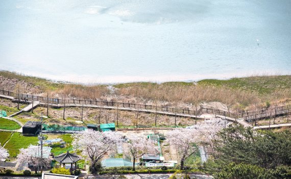 ▲ 부산 금정구 회동호 산책길의 모습.