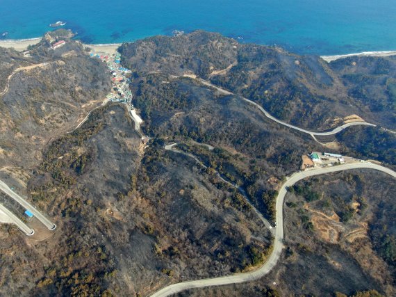 경북 울진·강원 삼척 산불 엿새째인 9일 강원도 삼척시 원덕읍 월천리 고포해변 주변 일대 산림이 불에 타 까맣게 그을려 있다. 산림청과 소방당국, 지자체에 따르면 이날 울진˙삼척 산불의 전체 진화율은 70%까지 높아진 상황이다. 2022.3.9/뉴스1 © News1 민경석 기자