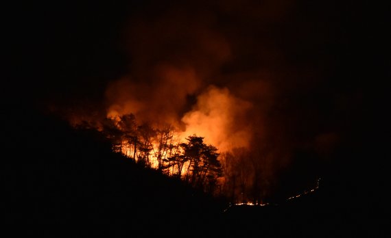 [봉화=뉴시스] 이무열 기자 = 5일 오후 경북 봉화군 봉화읍 야산에 불이 번지고 있다. 산립 당국은 이날 오후 7시께 대응 3단계를 발령했다. 2022.04.05. lmy@newsis.com