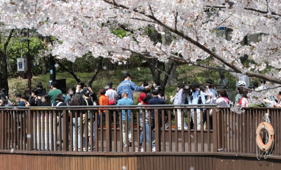 지난 10일 서울 송파구 석촌호수에서 시민들이 흩날리는 꽃잎을 맞으며 벚꽃구경을 하고 있다. /사진=뉴스1