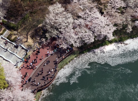 10일 서울 송파구 석촌호수를 찾은 시민들이 벚꽃구경을 하고 있다. 2022.4.10/뉴스1 © News1 장수영 기자