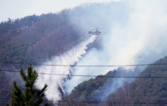 양구산불 진화율 75%...낙엽소각 불티 원인