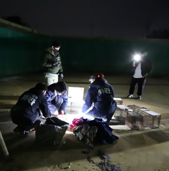 동물보호단체 관계자들이 포항시 구룡포의 한 폐양식장에서 고양이들을 구조하고 있다. © 뉴스1