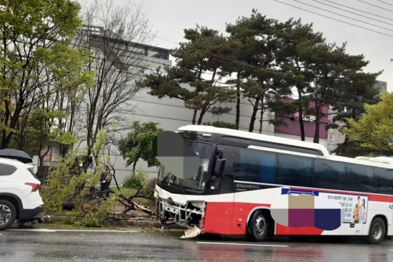 14일 오전 7시14분쯤 충북 청주시 서원구 수곡사거리를 지나던 시외버스가 길가에 세워진 승용차와 인도 위 가로수를 잇따라 들이받았다.(독자제공)© 뉴스1