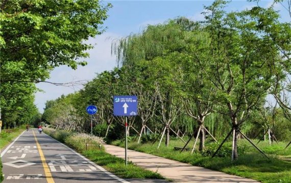 뚝섬한강공원 생태숲.© 뉴스1