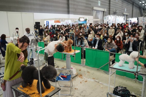[도쿄=신화/뉴시스] 일본 수도 도쿄에서 1일 아시아 태평양 애완견 미용 콘테스트가 성황리에 열리고 있다. 2022.04.14