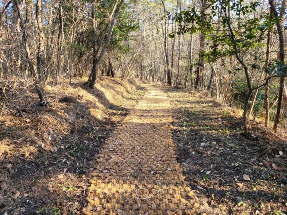 [거제=뉴시스] 신정철 기자= 경남 거제시는 지난 2019년 '찾아가고 싶은 섬'으로 선정된 둔덕면 화도(花島)에 대해 화도 분교 펜션 리모델링을 시작으로 ‘붉은빛 섬꽃마을 화도 둘레길 조성공사’를 최근 마무리하는 등 거제의 새로운 관광 섬으로 조성했다.사진은 화도 숲길 모습. (사진=거제시 제공).2022.04.15. photo@newsis.com *재판매 및 DB 금지