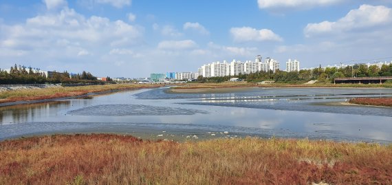 인천 시민들이 모금한 돈으로 학익유수지 용현갯골수로에 16일 안내판이 세워진다. 사진은 용현갯골수로 전경.