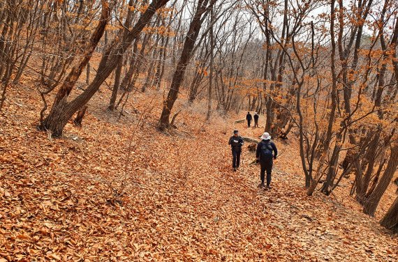 용암문에서 대동문 가는 길. 춘사월이지만, 고지대 등산로는 아직 갈색낙엽에 뒤덮힌 가을 풍경이다 © 뉴스1