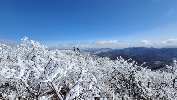 [평창=뉴시스] 김경목 기자 = 15일 오전 강원도 평창군 대관령면 해발고도 1485m 발왕산에 상고대 현상이 나타나 눈길을 끌고 있다. (사진=㈜HJ매그놀리아용평호텔앤리조트 제공) 2022.04.15. photo@newsis.com *재판매 및 DB 금지