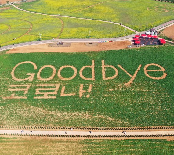 [안성=뉴시스] 김종택기자 = 화창한 날씨를 보인 17일 경기도 안성시 안성팜랜드를 찾은 시민들이 'Good bye 코로나' 문구가 새겨진 호밀밭을 걷고 있다. 지난 2년여간 코로나19 대유행에 대응하는 핵심 방역 수단이었던 사회적 거리두기가 18일 종료된다. 2022.04.17. jtk@newsis.com