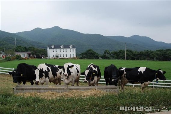 경기도 깨끗한 축산농장 지정농장. 사진제공=경기북부청