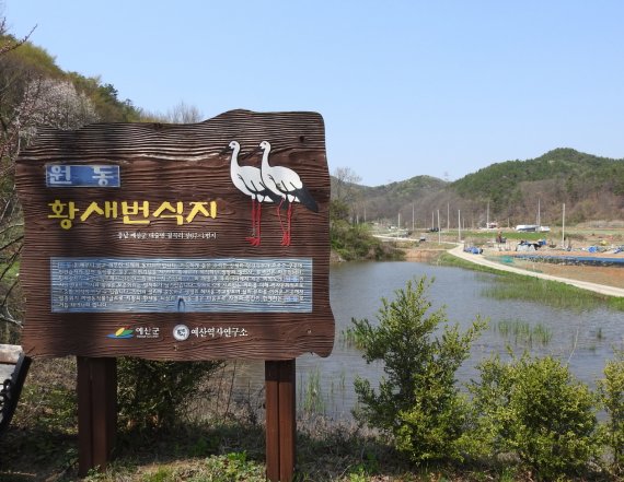 천연기념물 황새 번식지 안내판(예산군 제공)© 뉴스1