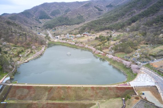 전남 화순군 동구리 호수공원 봄철 전경