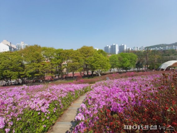 군포시 철쭉동산 관람 안전강화…계도활동 병행