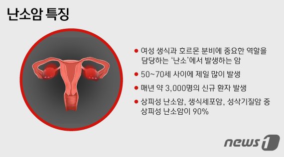 © News1 윤주희 디자이너