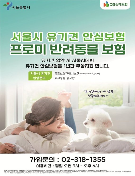 서울시, 유기동물 입양시 교육·동물보험 지원