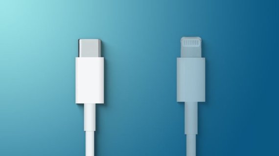 삼성전자가 사용중인 USB C타입(왼쪽)과 애플의 독자규격인 라이트닝 포트.