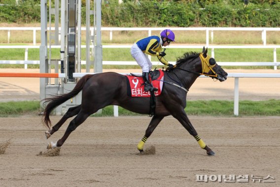 [경마] ‘중장거리 최강자’ 서울-부경 경주마, 어디로?