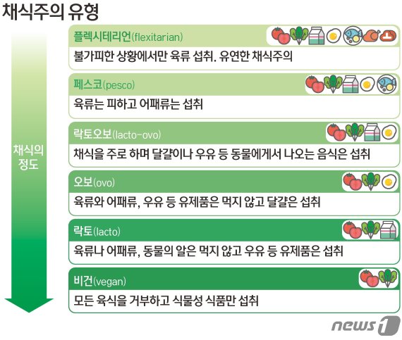 © News1 김초희 디자이너