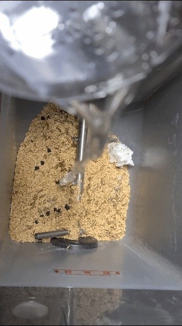 쿠쿠 미생물 음식물쓰레기 처리기 미생물 만드는 모습 © 뉴스1 조현기 기자