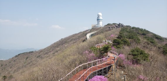 대구 비슬산 정상에 조성된 휠체어 전용 데크 /사진=한국관광공사