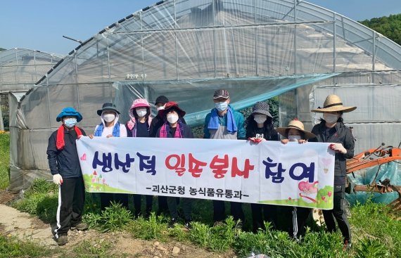 [괴산=뉴시스] 괴산군 농식품유통과 생산적 일손봉사. (사진=괴산군 제공) photo@newsis.com *재판매 및 DB 금지