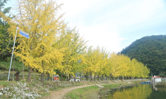 [괴산=뉴시스]강신욱 기자 = 충북 괴산군 문광면 양곡리 문광저수지 둘레길. 2020.10.13. ksw64@newsis.com