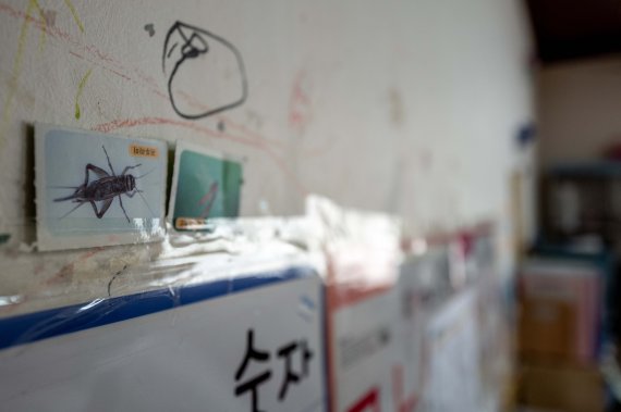 [서울=뉴시스] 정병혁 기자 = 소희(가명)는 "집에 온갖 벌레가 너무 많이 나온다"고 말했다. 2022.05.05. jhope@newsis.com