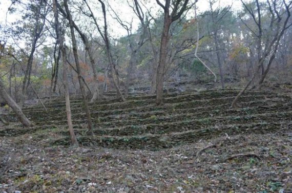 ‘주미조선공사관 관련 이상재 기록’ 문화재 등록