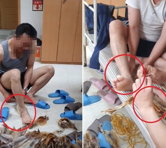 포항 수산물 시장서 일했던 베트남 노동자가 올린 영상, 맨발로 오징어를... '충격'