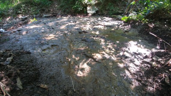 [창원=뉴시스] 경상남도기념물로 지정 예고된 '경남 함안 사촌리 공룡발자국 화석산지'.(사진=경남도 제공) 2022.05.12. photo@newsis.com