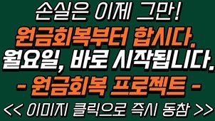 [긴급] 개인투자자 구제방안 떴습니다.