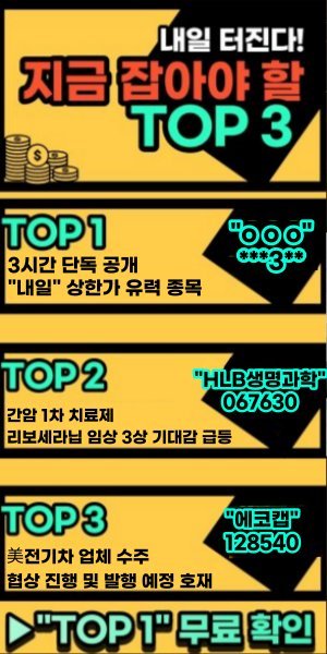 내일의 급등 유망주 TOP3