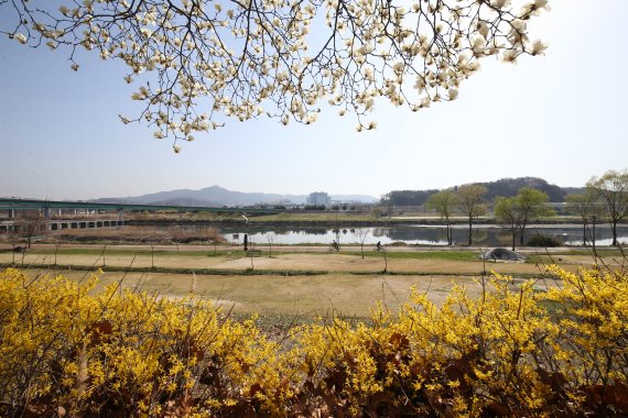 [오늘의 날씨] 대전·충남(15일, 금)…큰 일교차