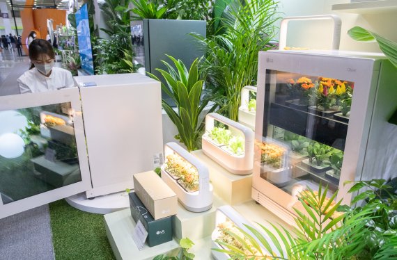 20일 서울 강남구 코엑스에서 열린 2022 월드 IT쇼에서 LG전자 관계자가 식물생활가전인 '틔운'을 소개하고 있다. 2022.4.20/뉴스1 © News1 이재명 기자